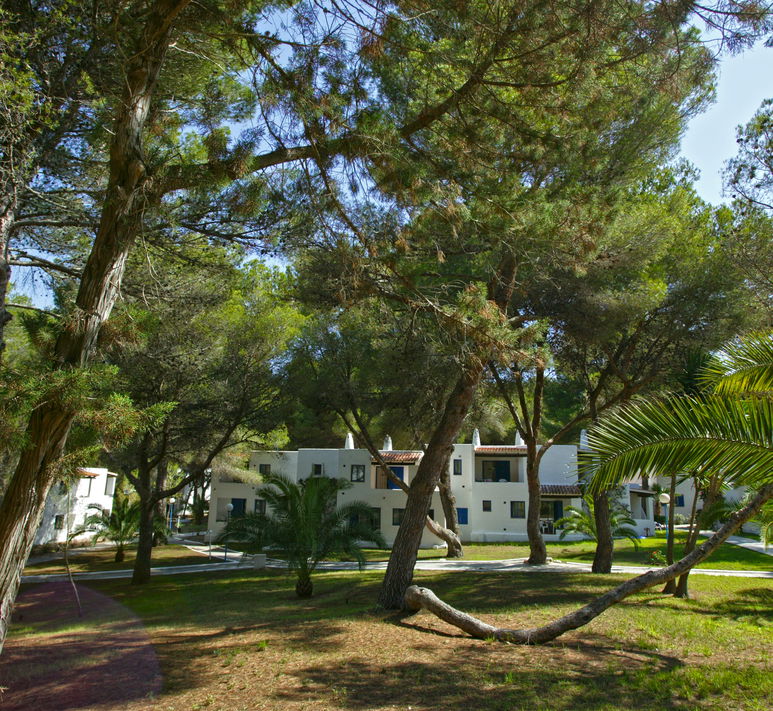 Insotel Fenicia Prestige: introduction text image 8