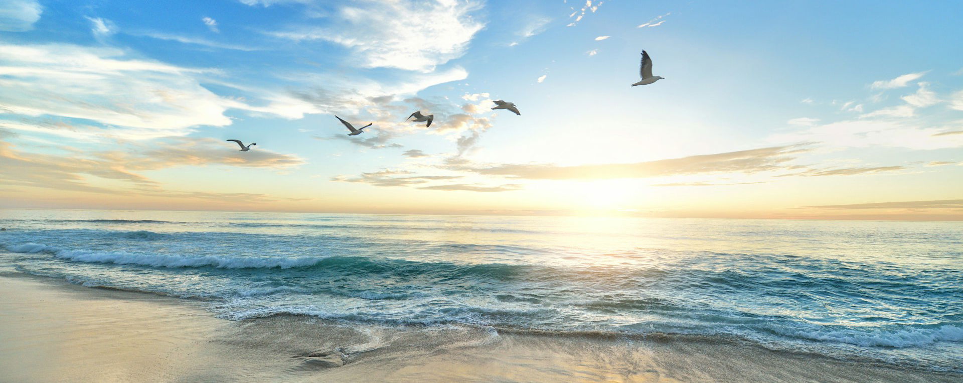 Insotel Fenicia Prestige: hero slider