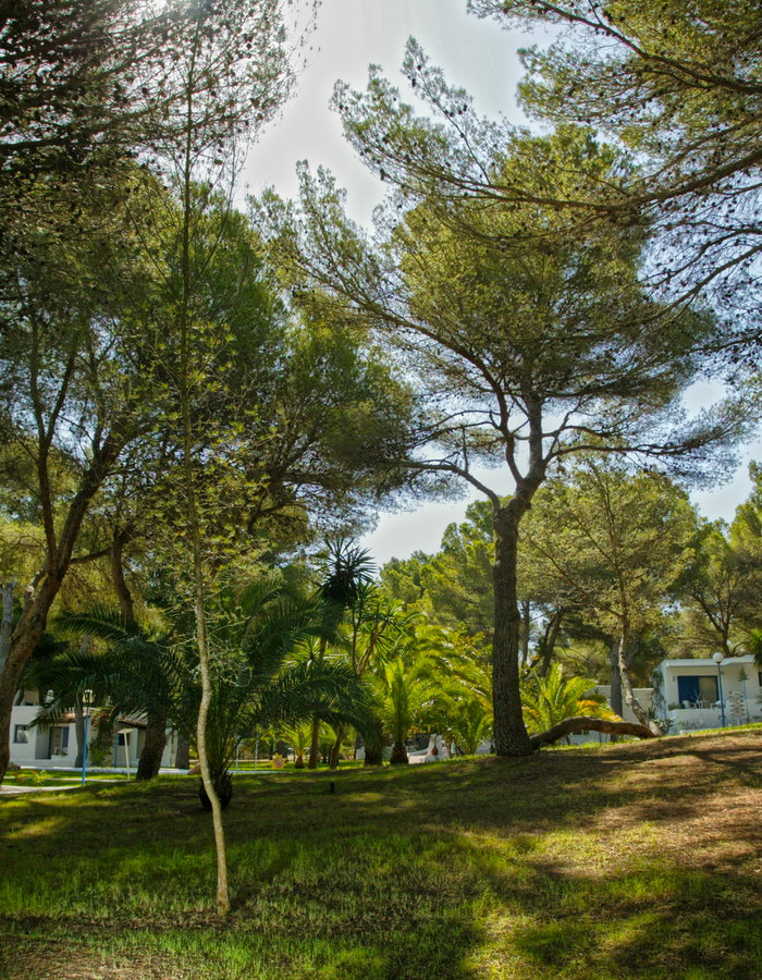 Insotel Fenicia Prestige: Natural routes and viewpoints to discover