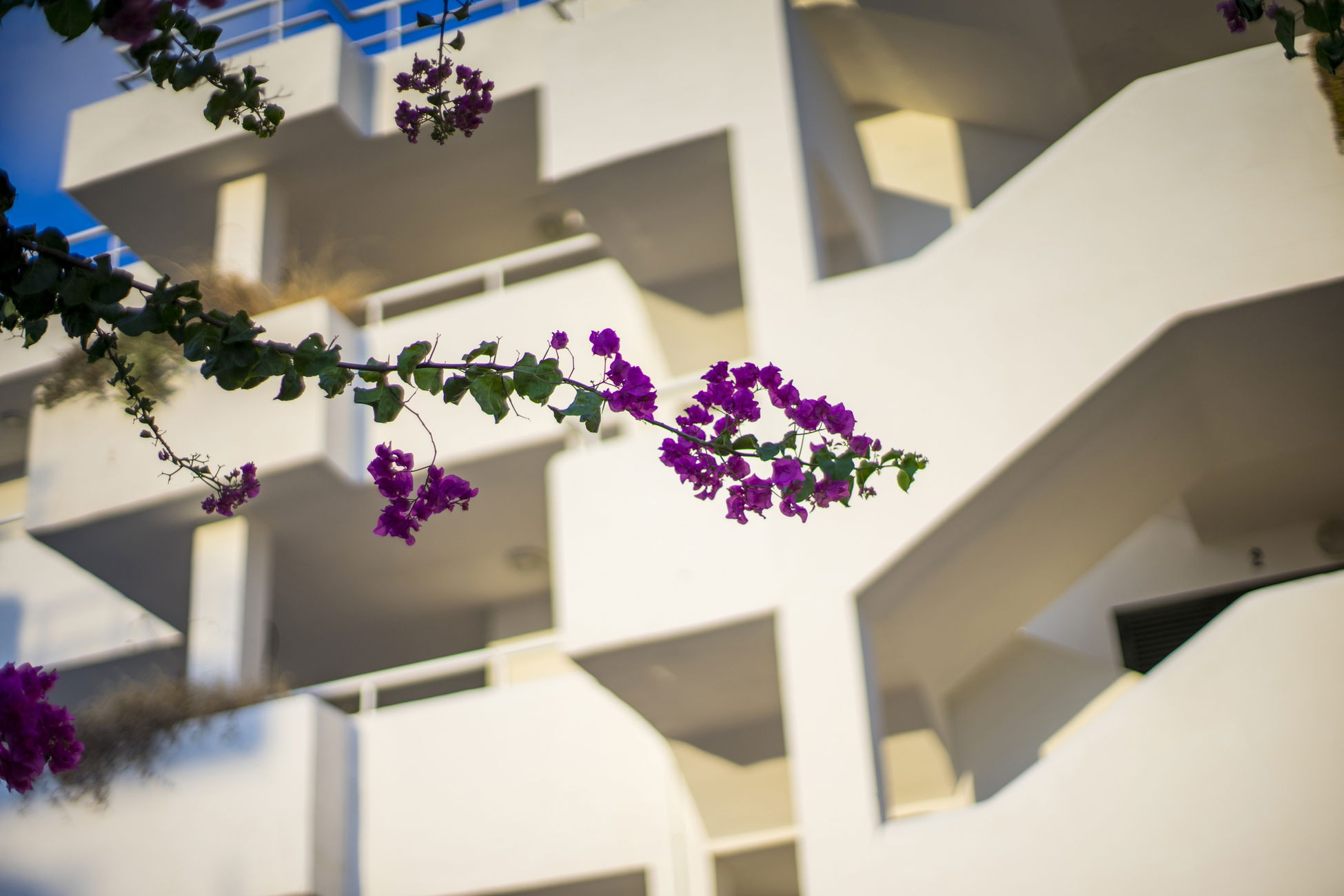 Image from hotel Póngase en contacto<br/>con el apartahotel Camelina Suites en<br/>Port d'es Torrent, Ibiza 