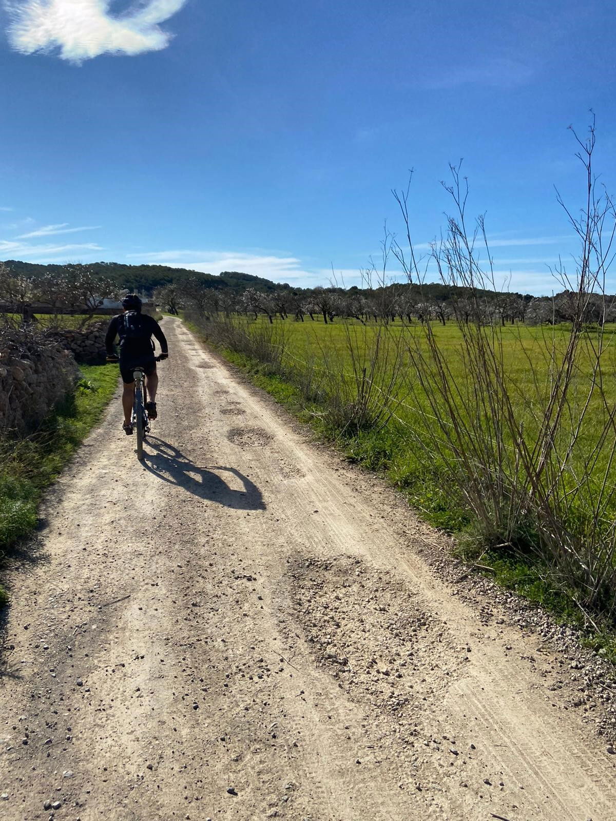 Image from hotel Descubra las famosas playas y calas de Ibiza