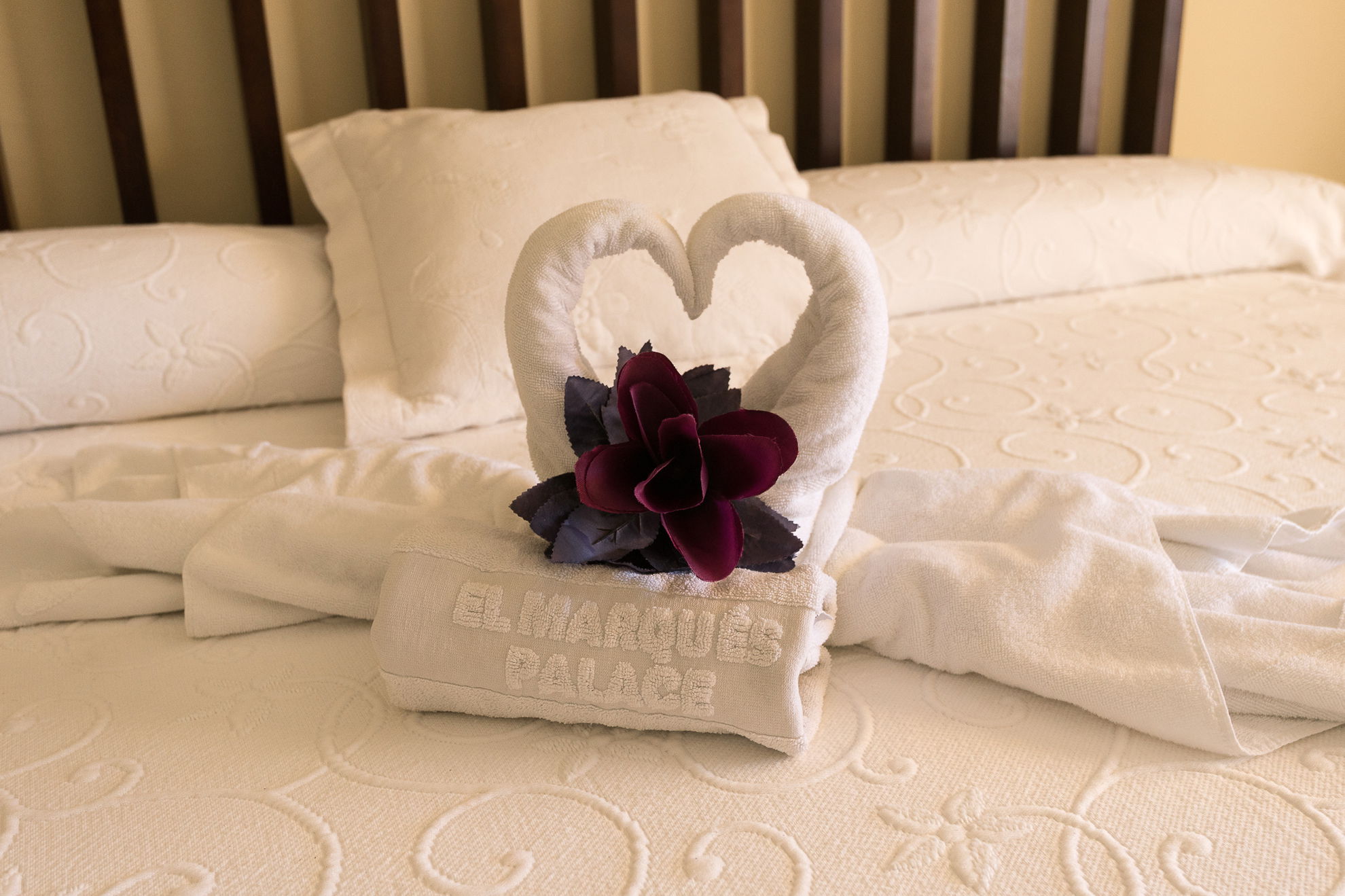 Image from hotel Découvrez nos appartements à Los Gigantes - Puerto de Santiago, Tenerife 