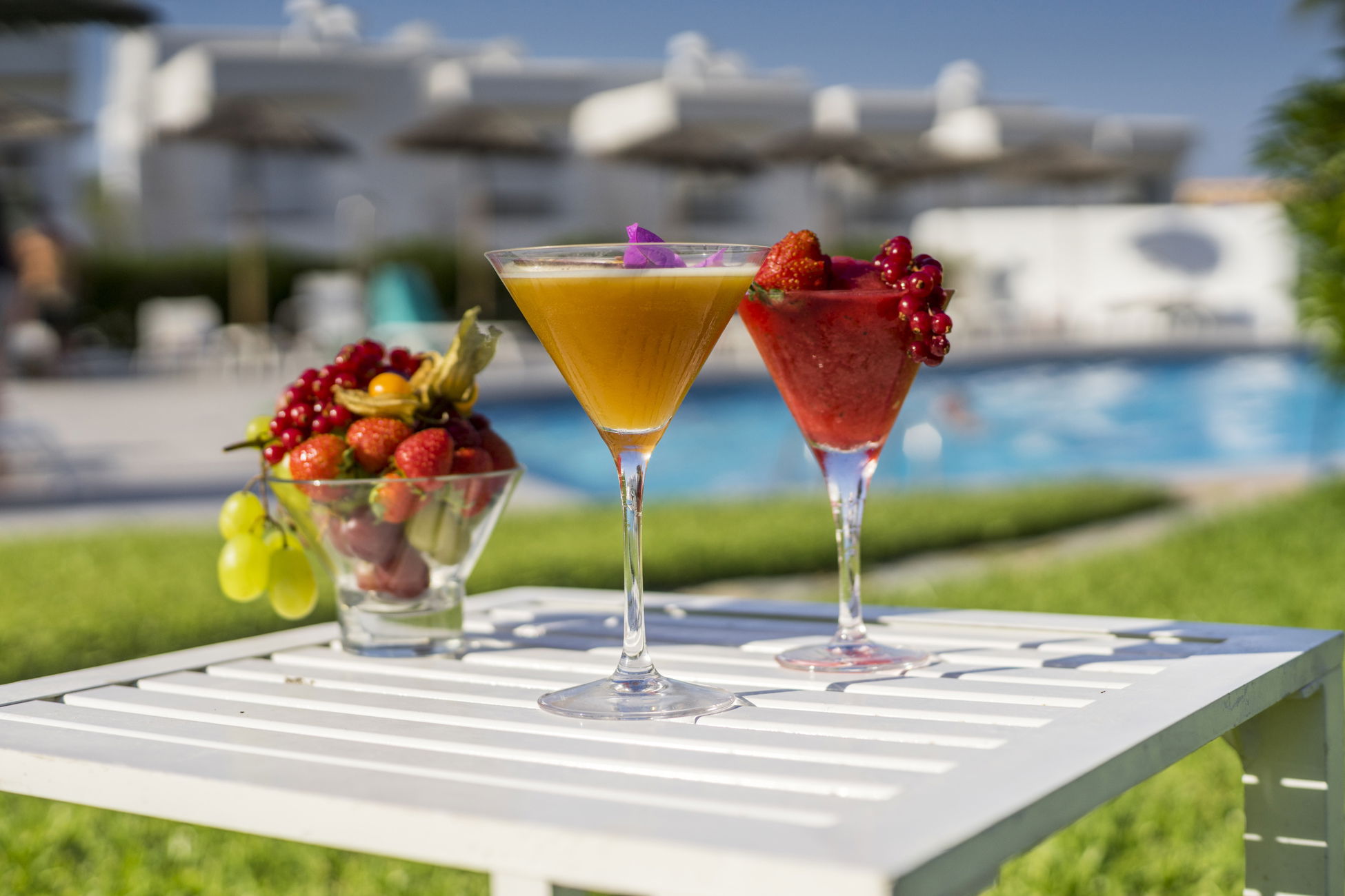 Image 2 section intro text