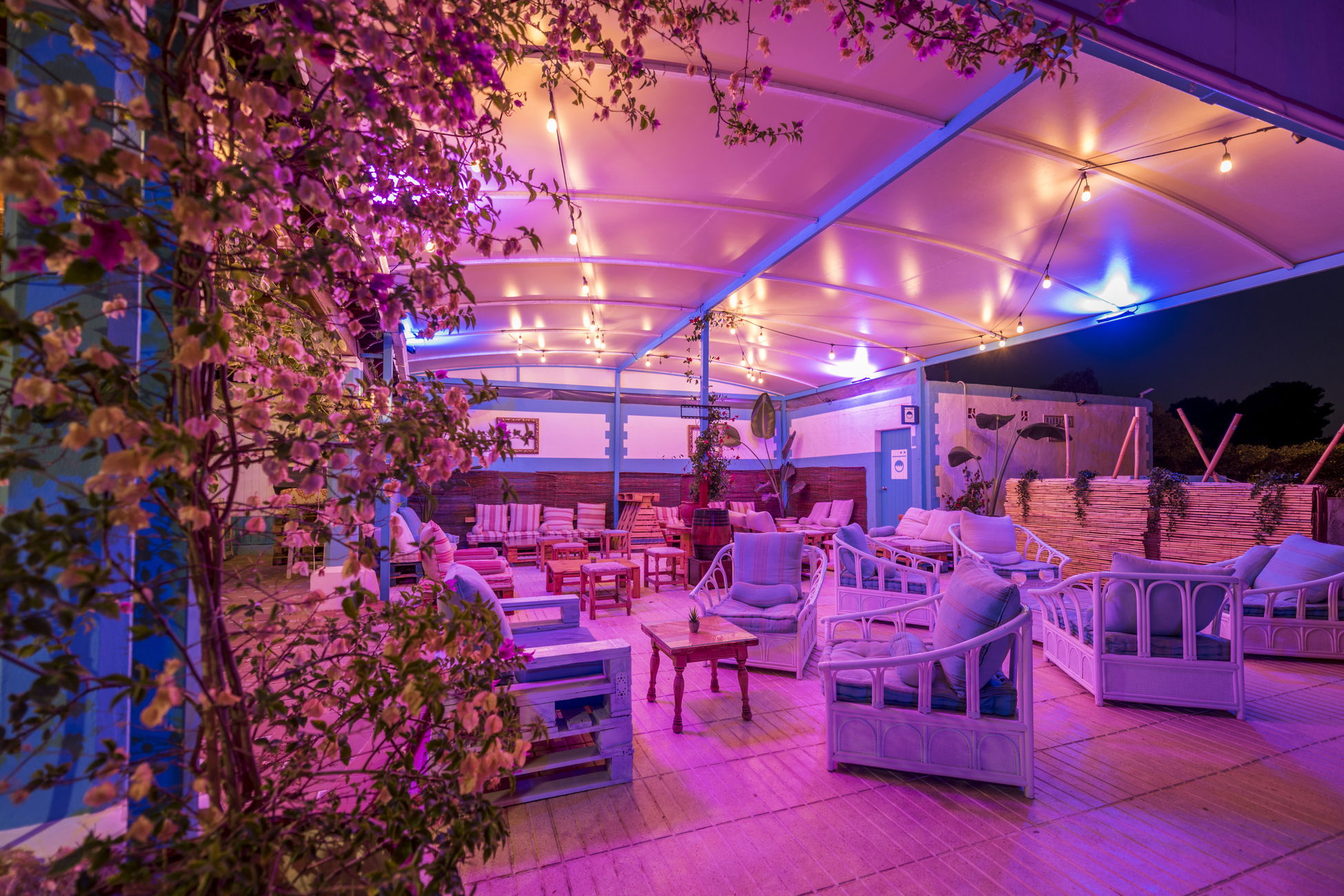 Image 3 section intro text