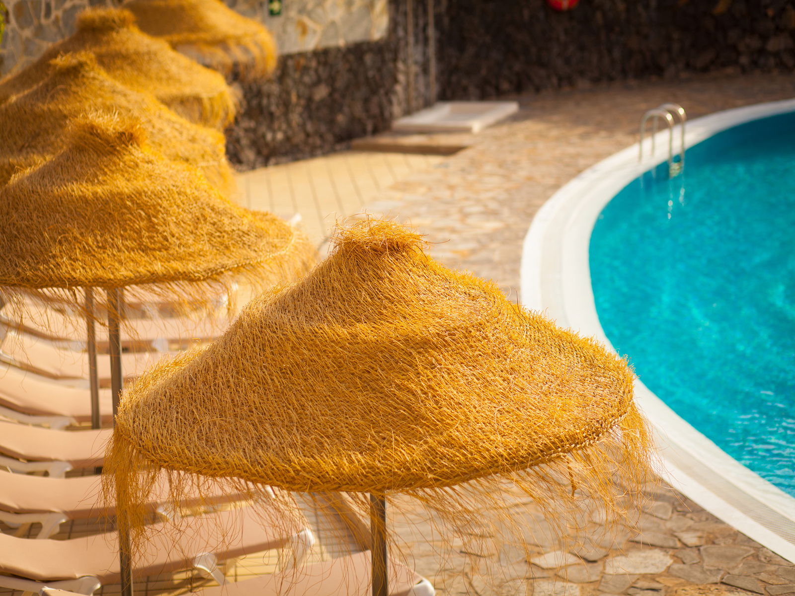 Image from hotel Découvrez les services et les installations de l’appart’hôtel El Marqués à Puerto de Santiago, Tenerife 