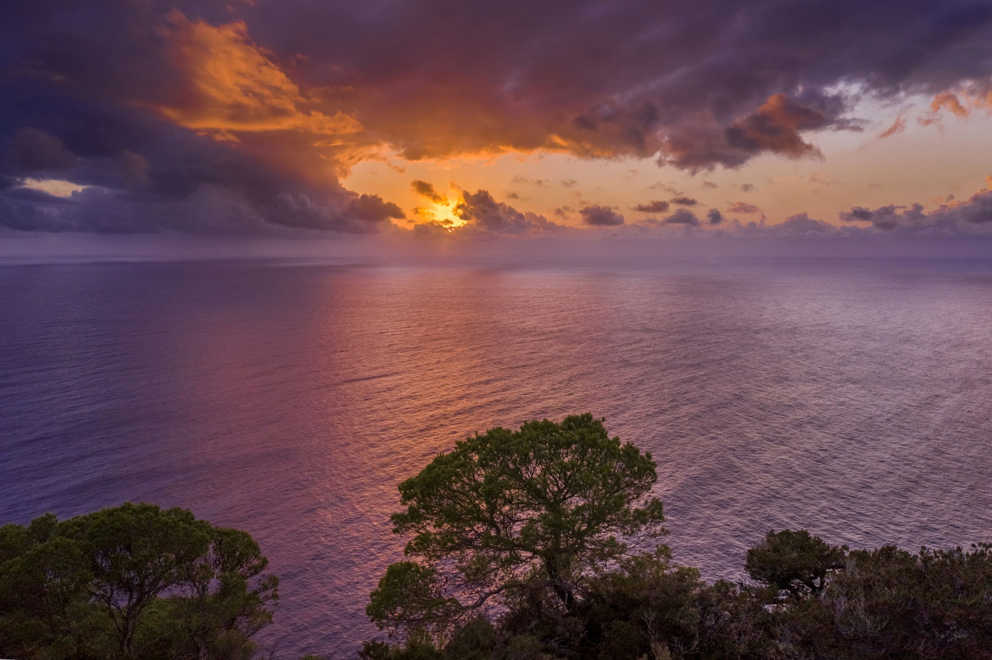 Image 1 section intro text