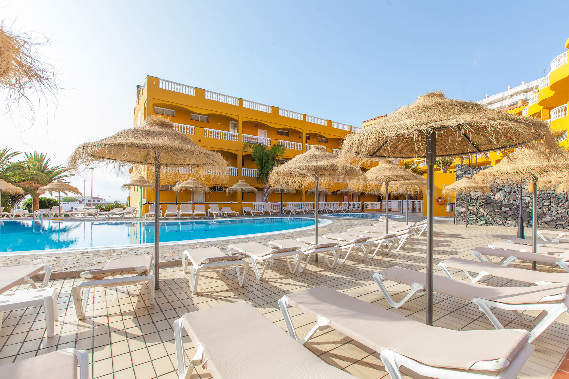 Image 1 section intro text