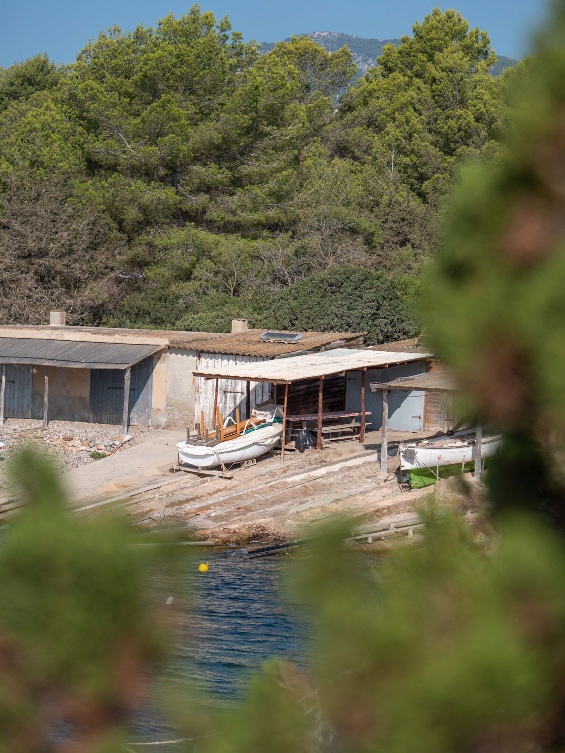 Image 4 section intro text