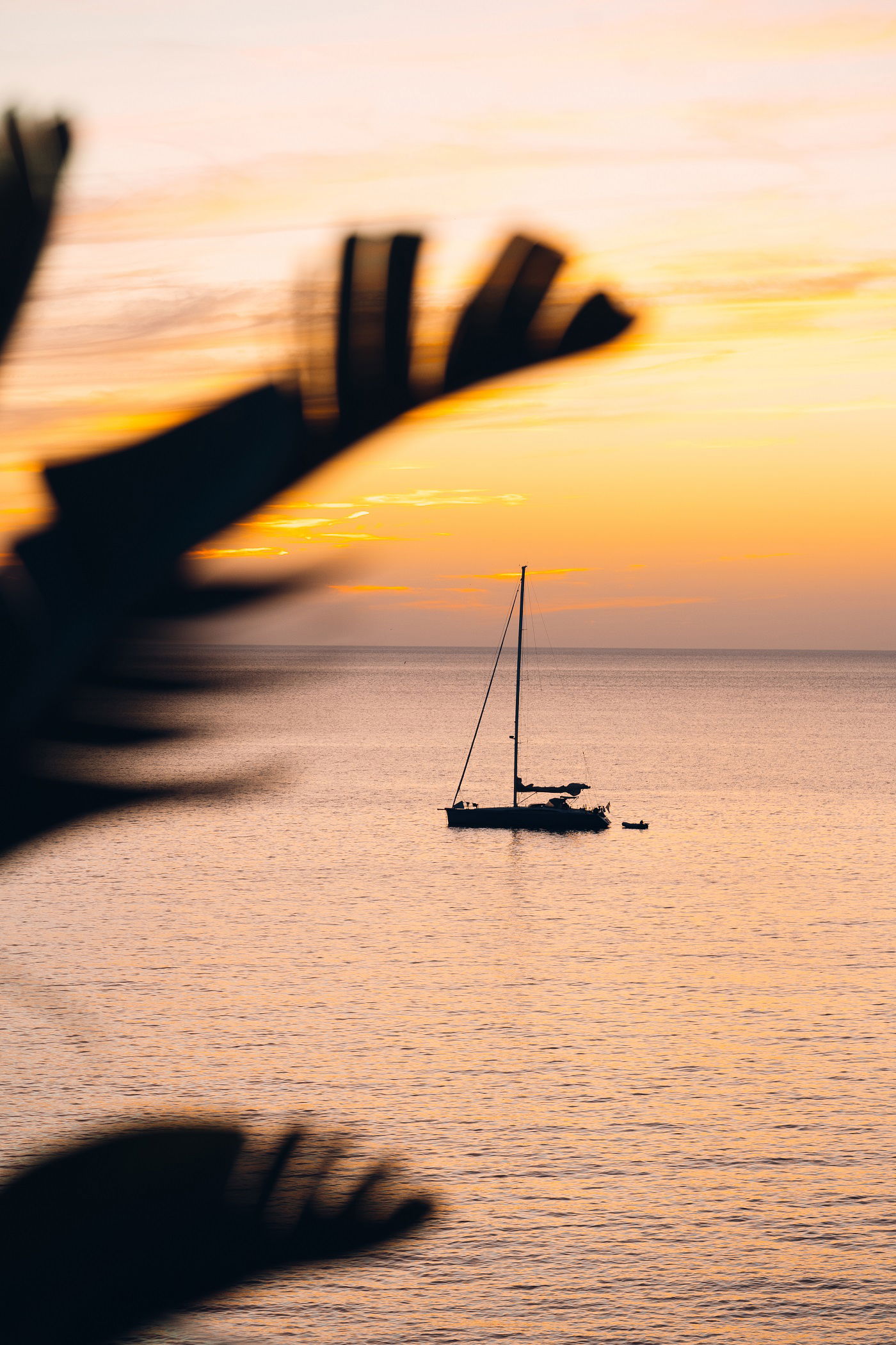 Image 5 section intro text