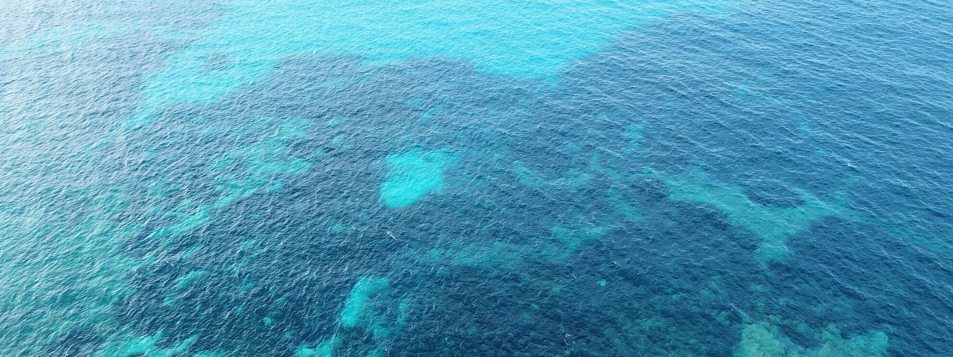 banner of section slide