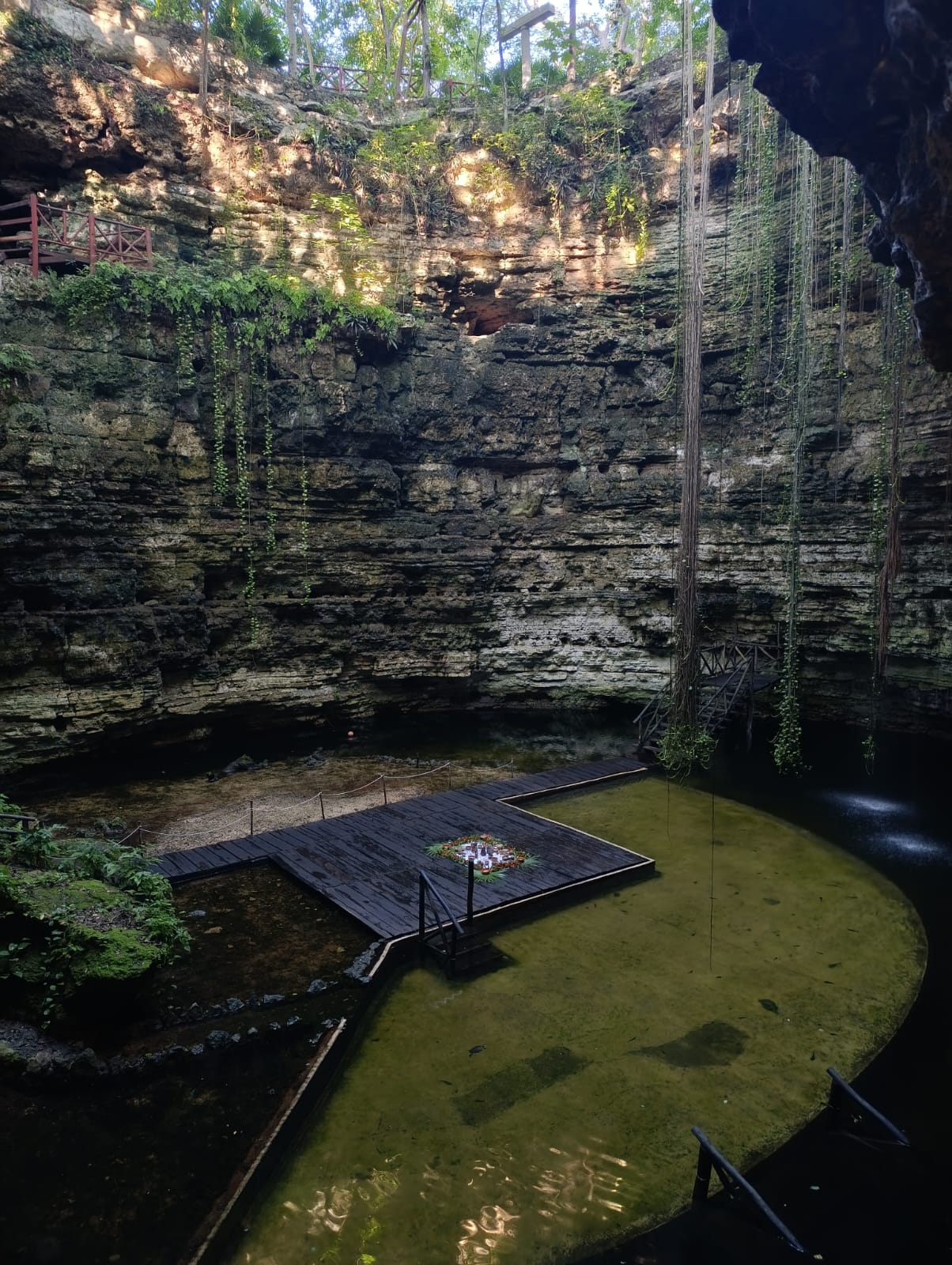 Cenotes: nature in its purest form