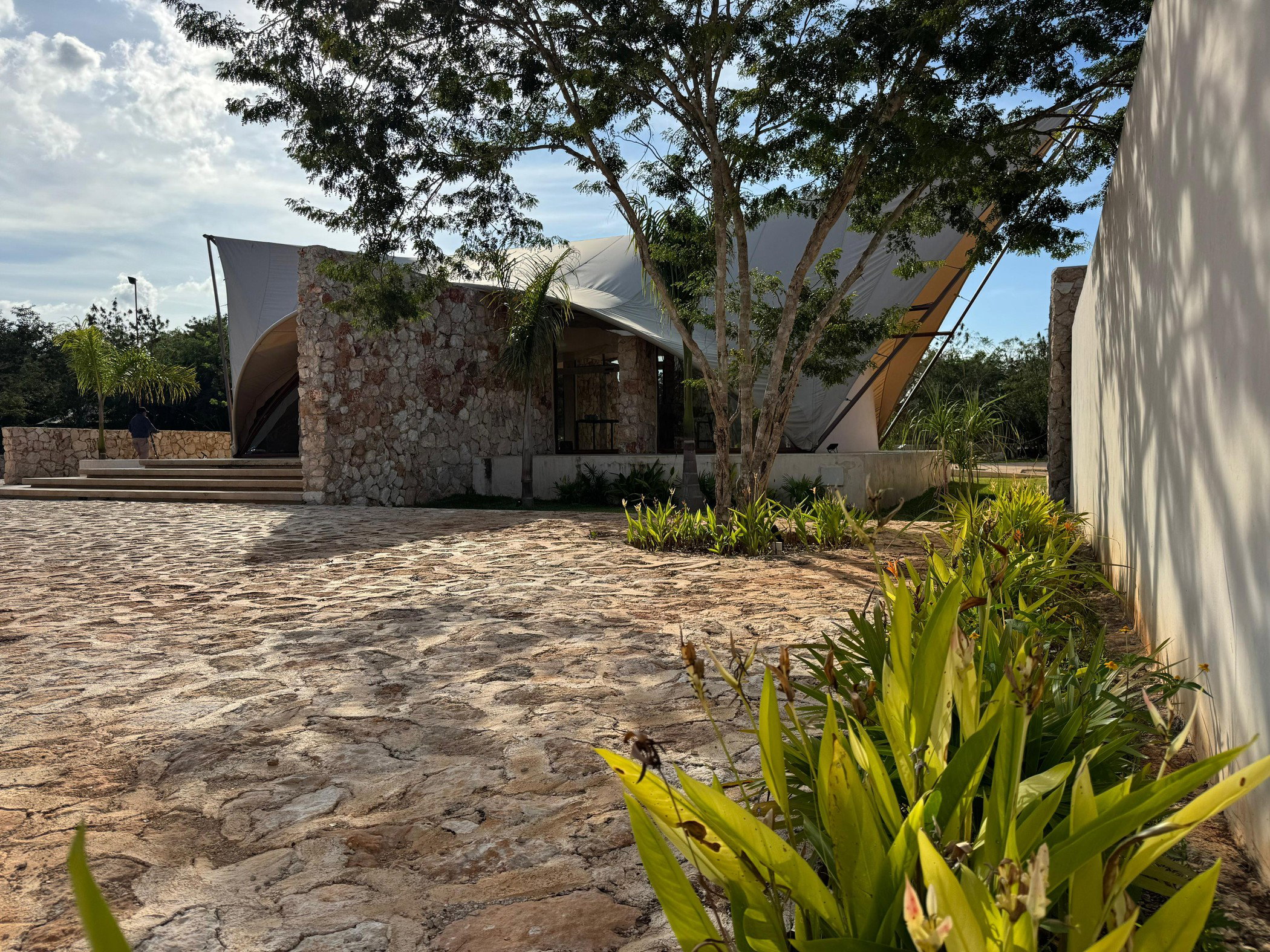Intro image full screen