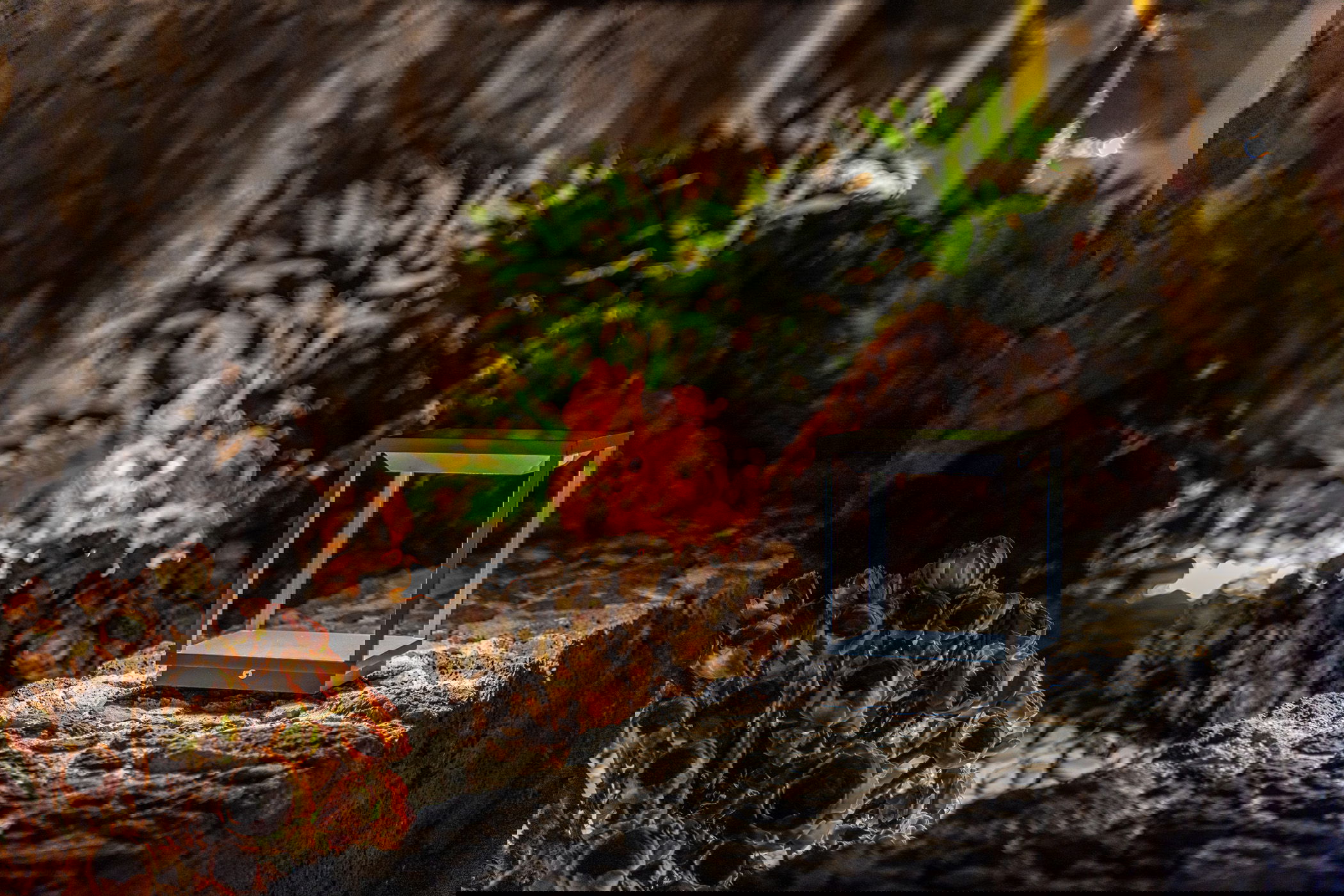 Imagen de la Galería