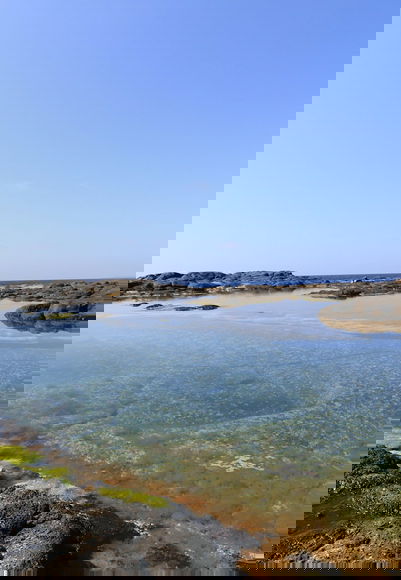 Image The Charcones