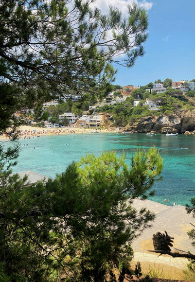Image Nearby beaches and hidden coves