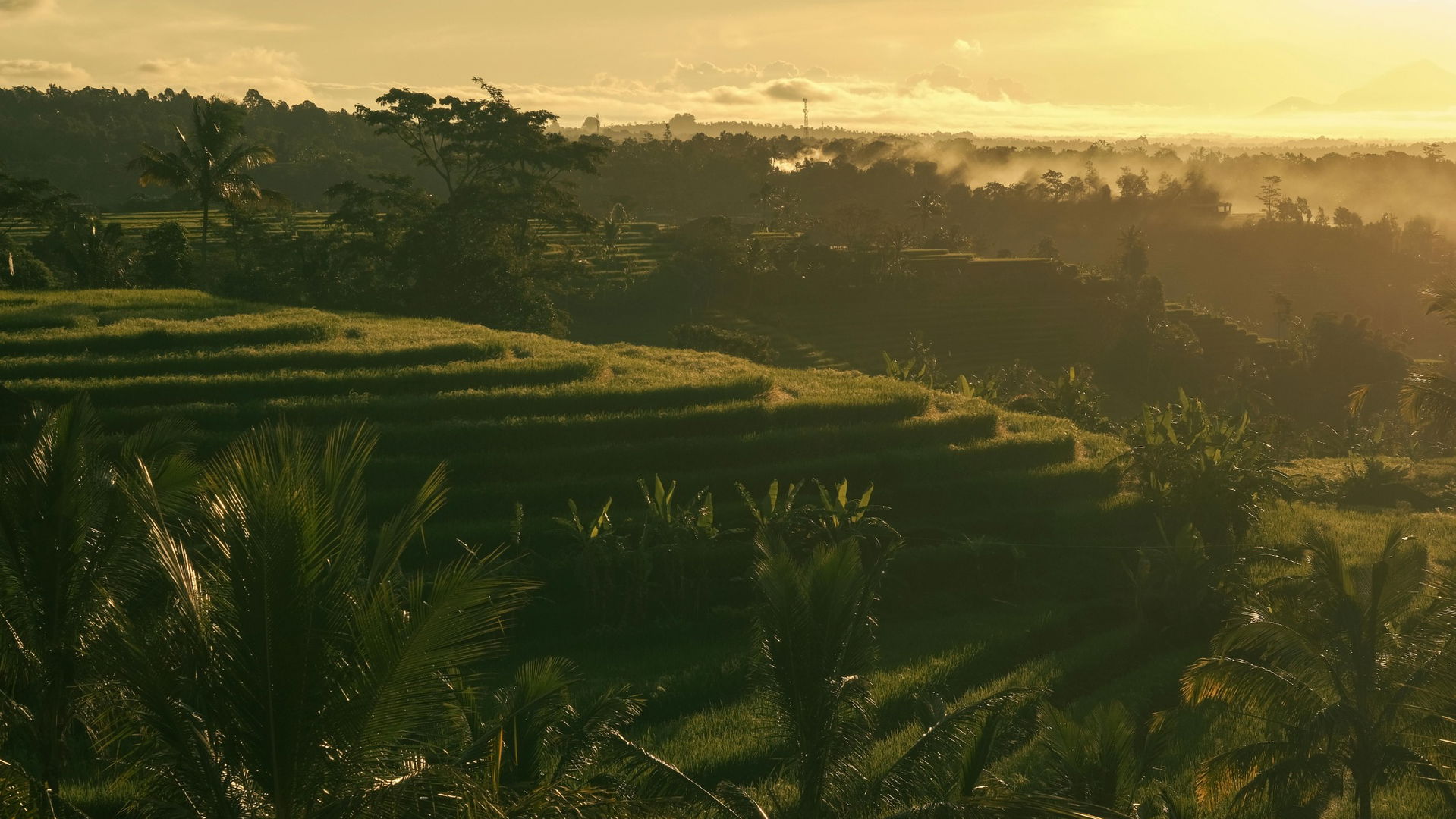 Intro image full screen