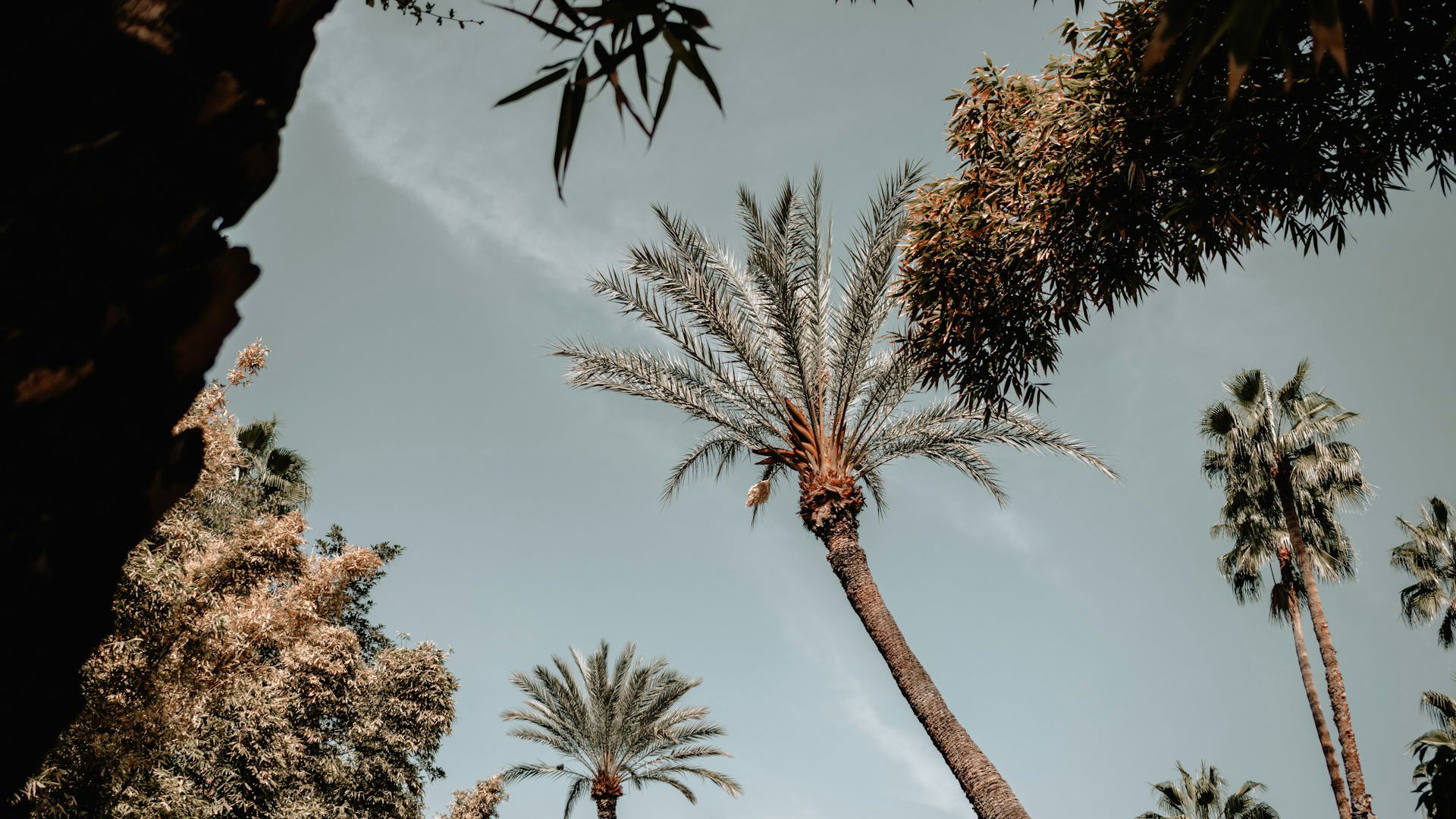 Intro image full screen