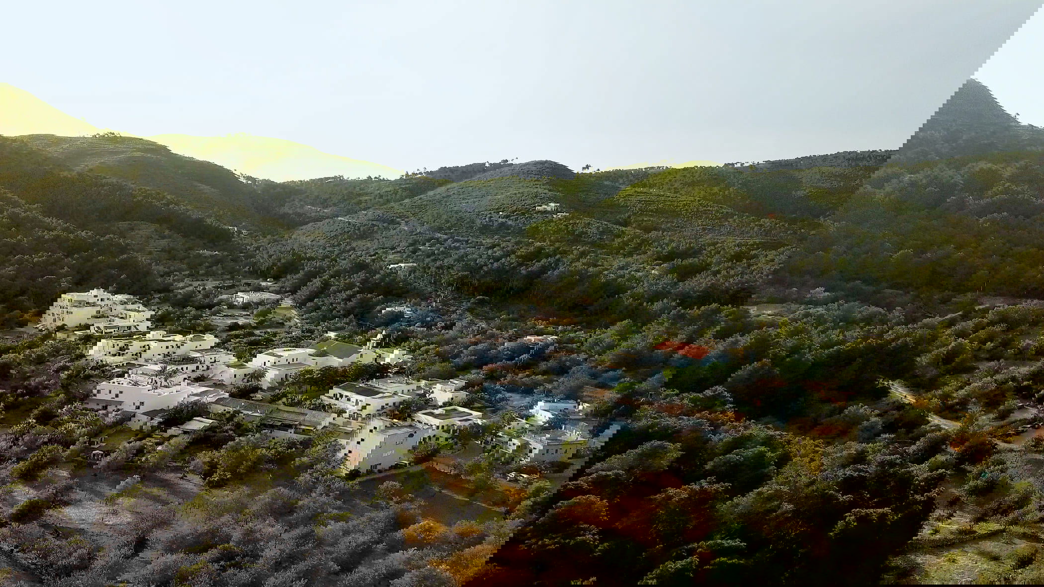 Intro image full screen