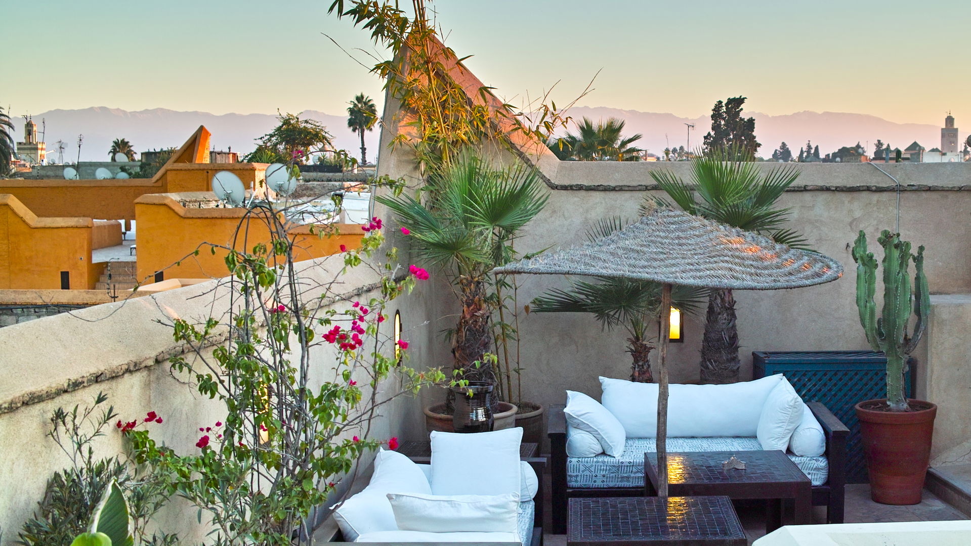 Intro image full screen