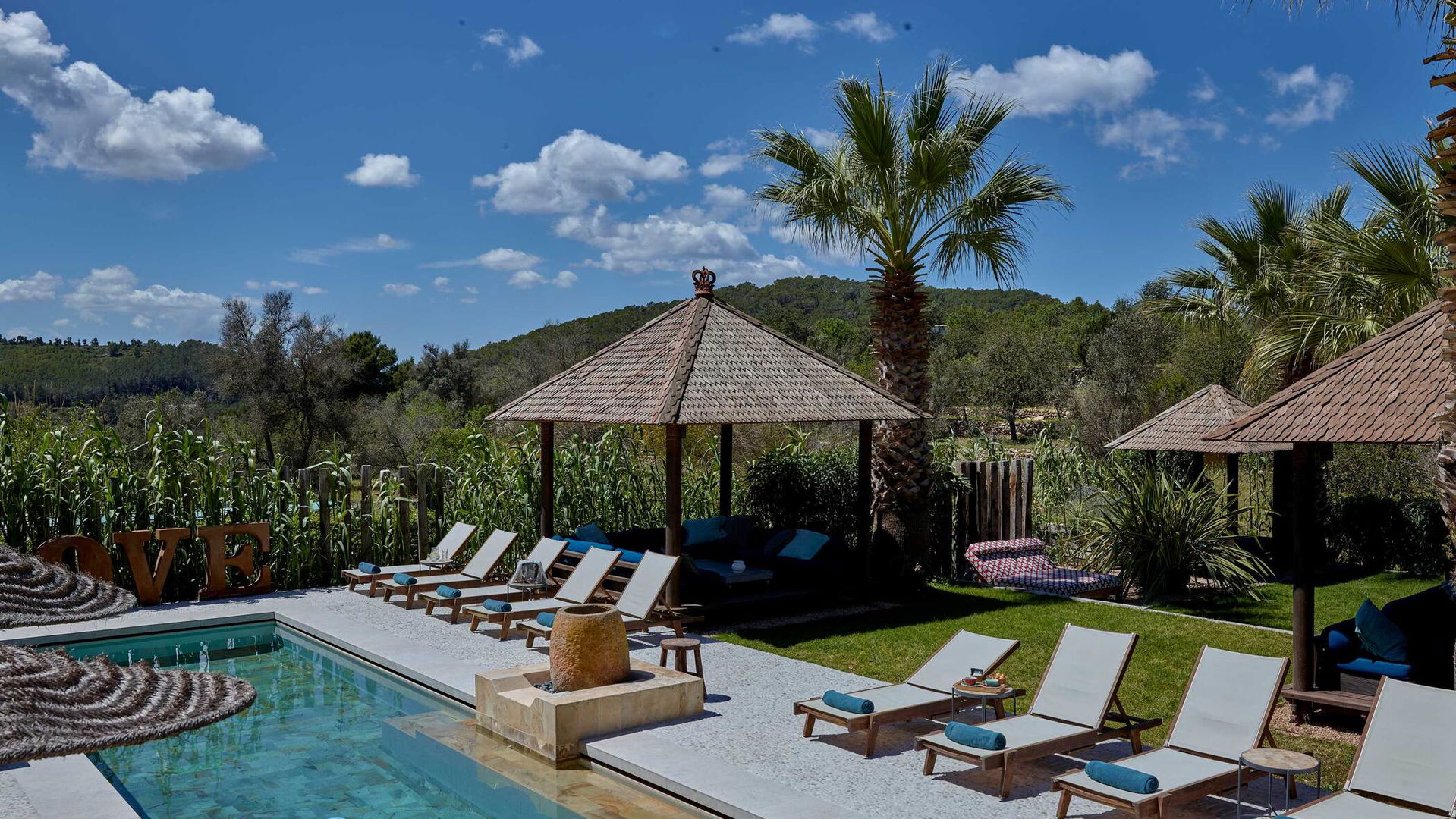 Intro image full screen