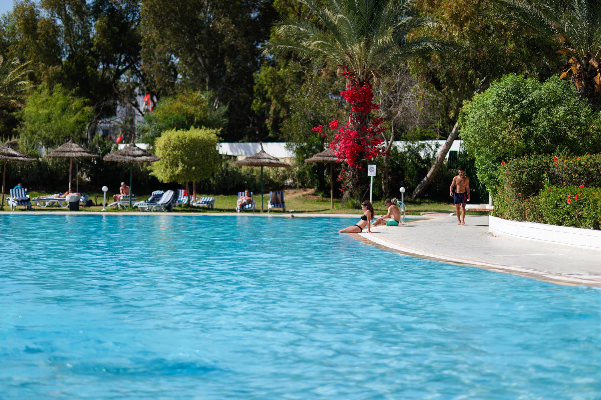 Image from hotel Hotel de 4 estrellas en Hammamet