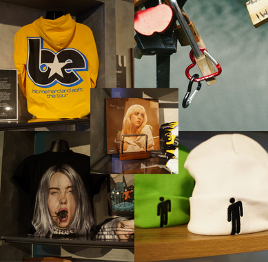 UMusic Hotels BILLIE EILISH 