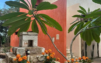 gallery image 13