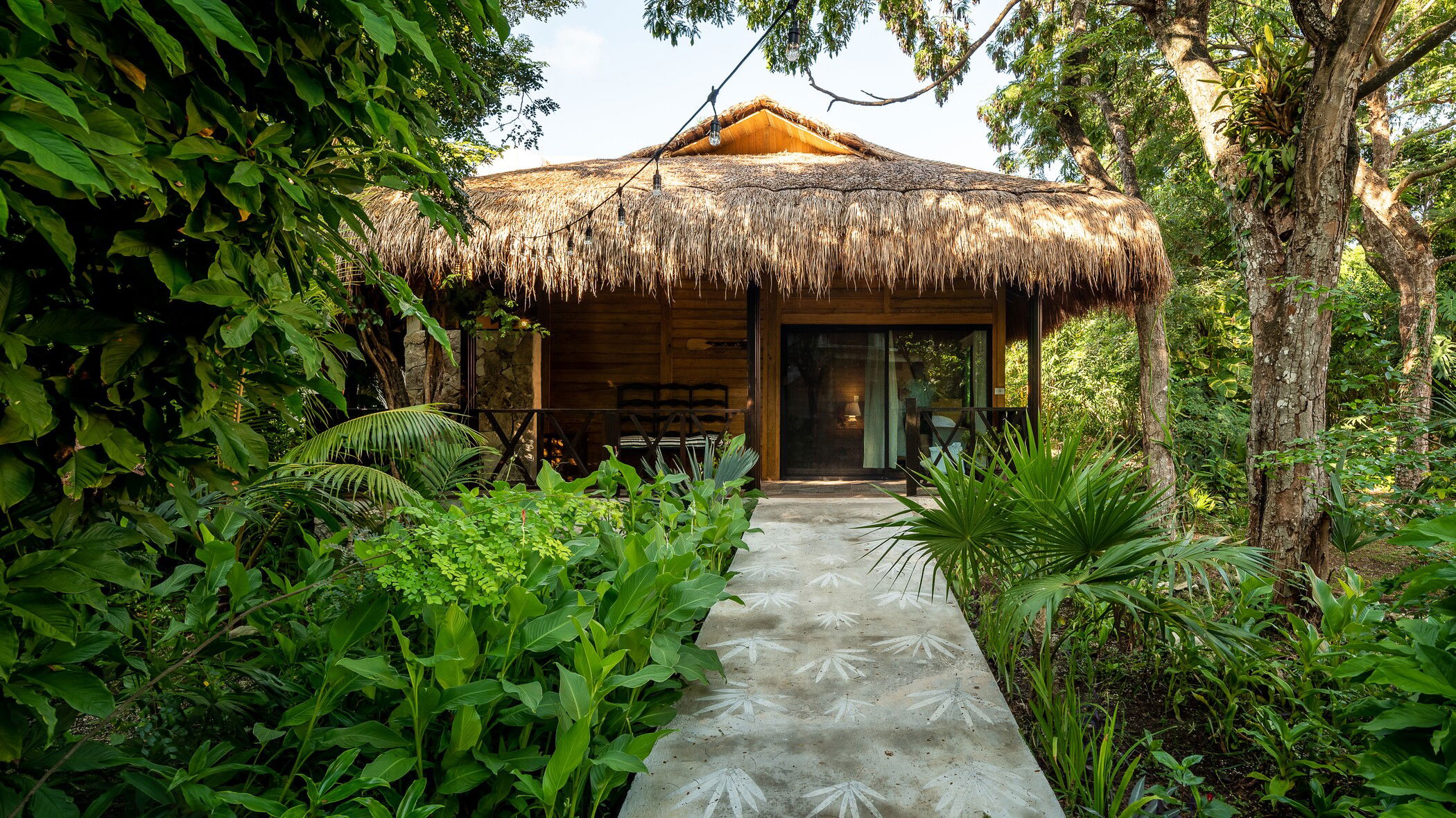 Image related section