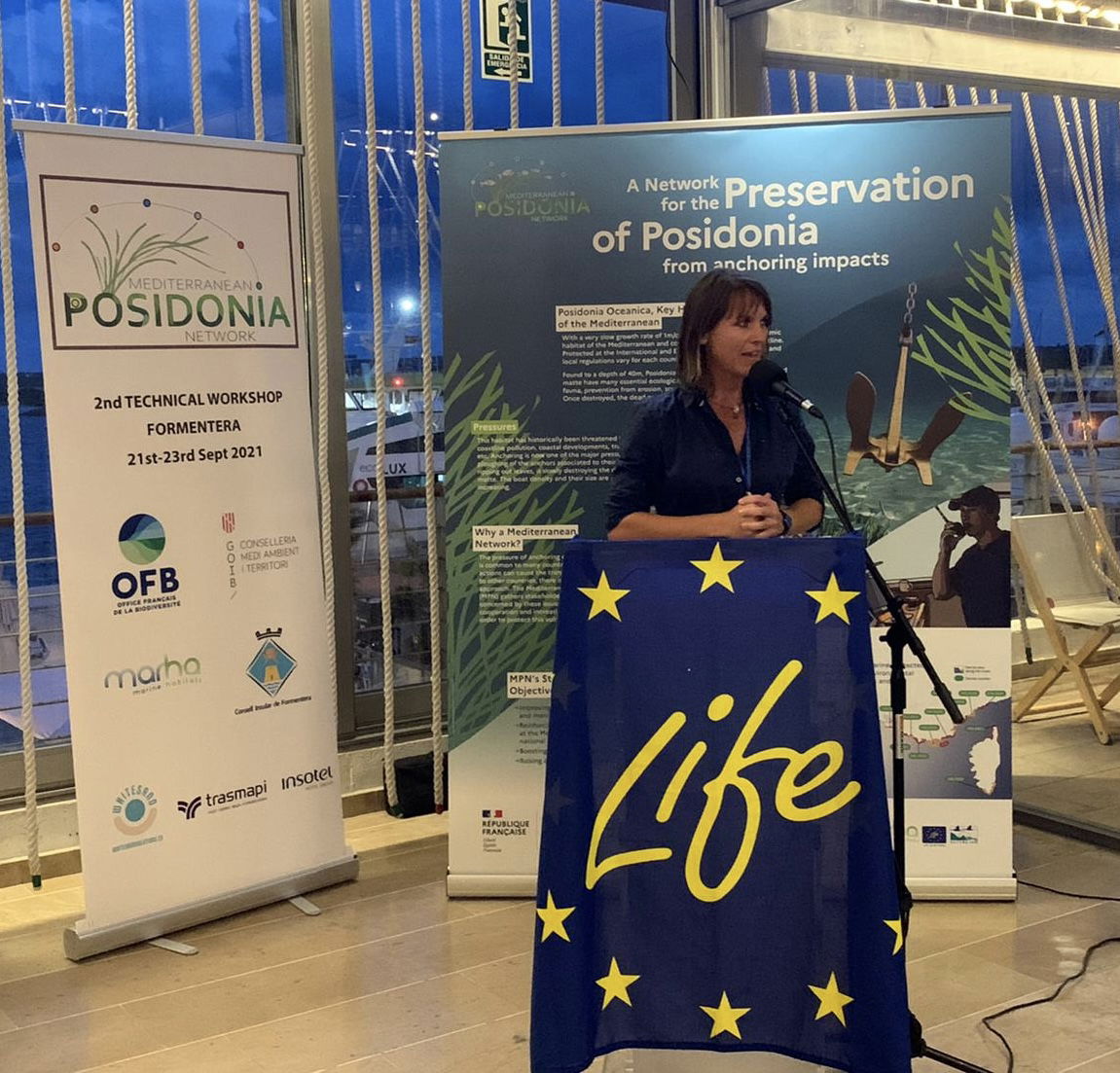 image related item: 3