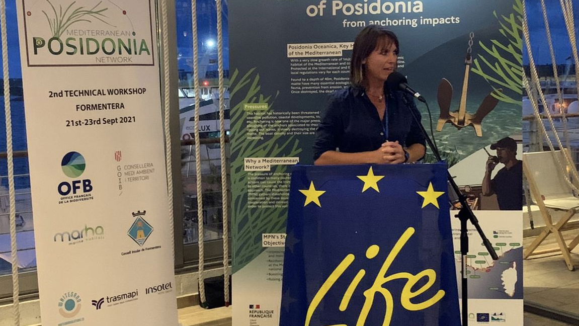 image related item: 3