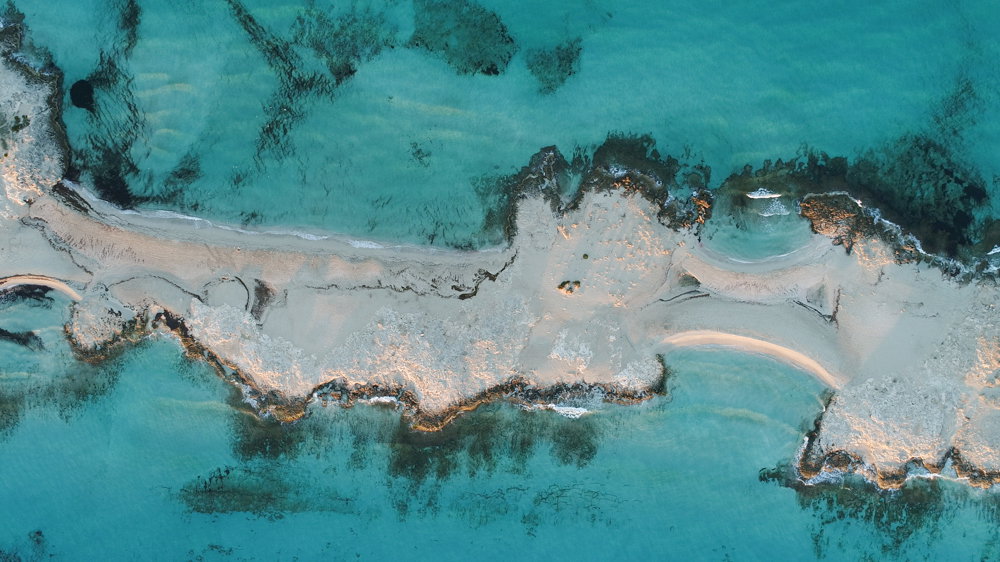 about us section image 2
