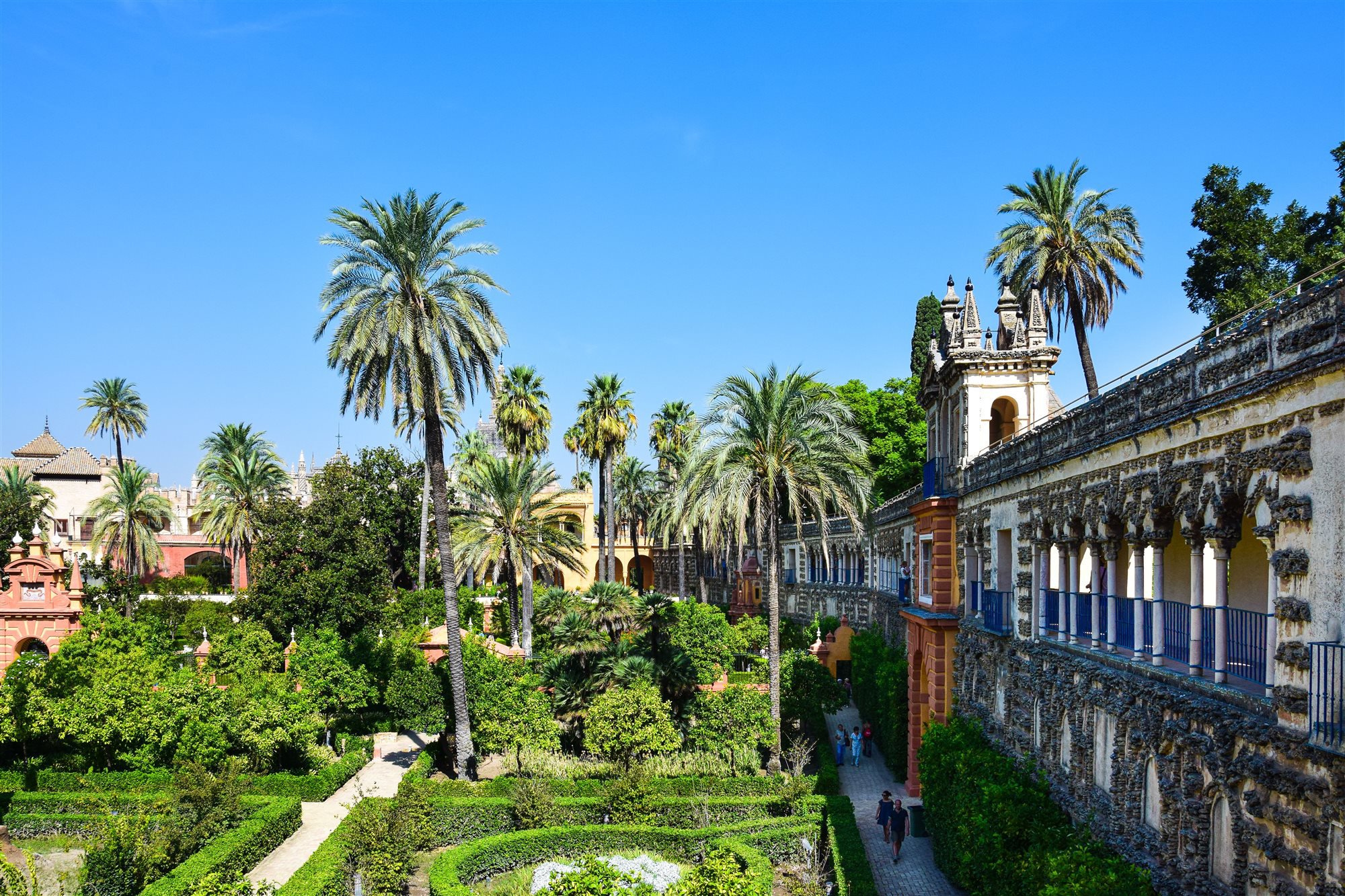 Jardines del Real Alcázar de Sevilla con altas palmeras y galerías con arcos junto a un paseo