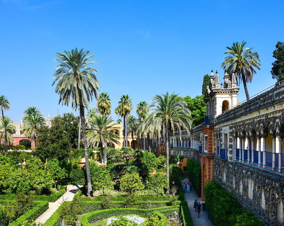 Jardines del Real Alcázar de Sevilla con altas palmeras y galerías con arcos junto a un paseo