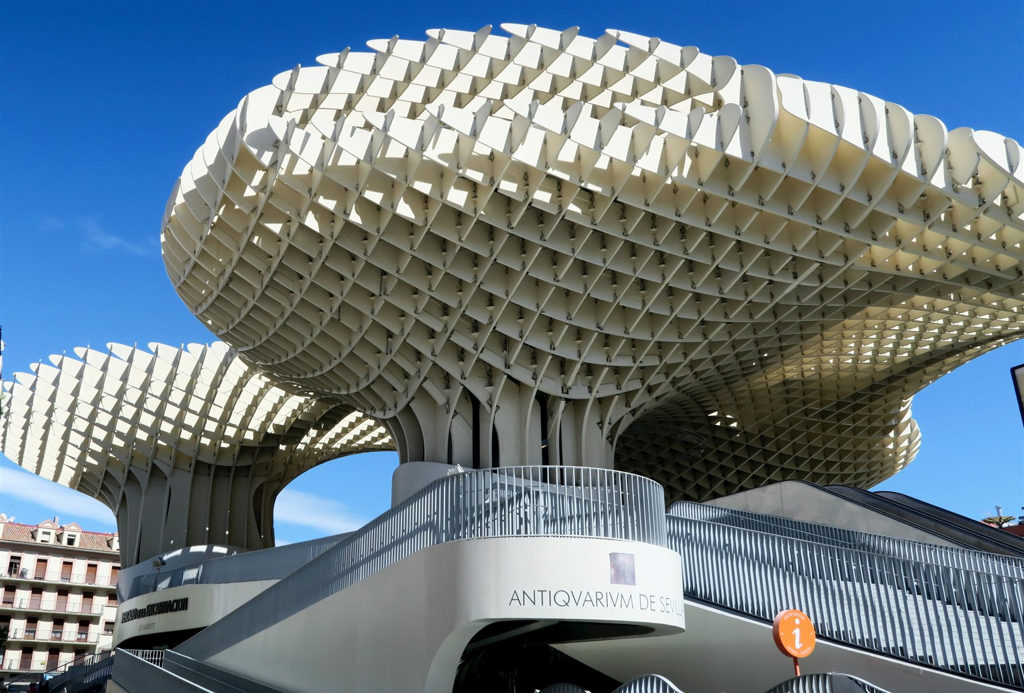 Estructura ondulada de madera del Metropol Parasol (Las Setas) de Sevilla vista desde abajo